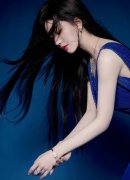 引批高程度人力资本办事机构