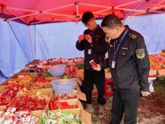 这些问题有了专业的解